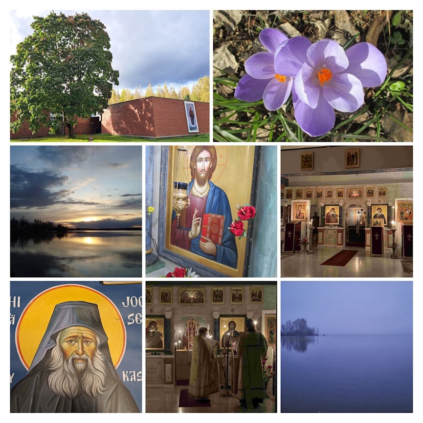 Panagia kollaasi