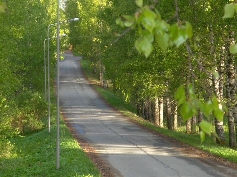 Panagian puistotietä